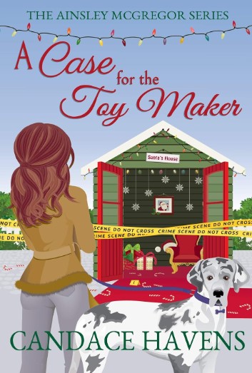 Cover of A Case for the Toy Maker